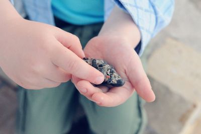 Close-up of boy holding crab