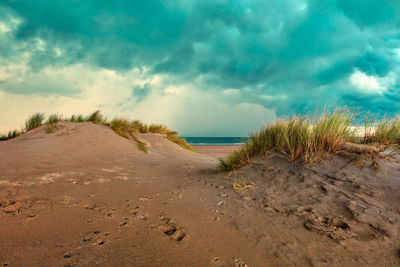 Scenic view of beach against sky