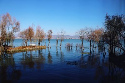 Scenic view of lake against clear blue sky