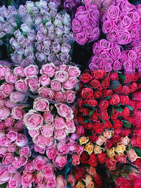 Full frame shot of pink flowers in market