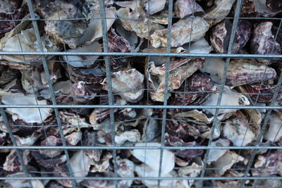 Full frame shot of dry food for sale