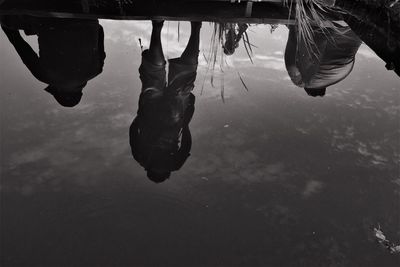 Reflection of people on water at harbor