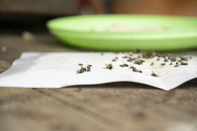 Close-up of open book on table