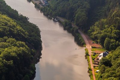 High angle view of river amidst trees