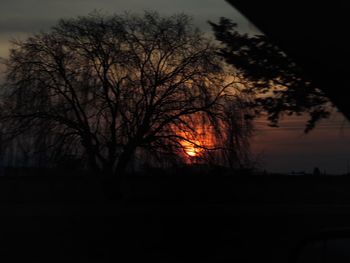 Silhouette bare trees on landscape against sky at sunset