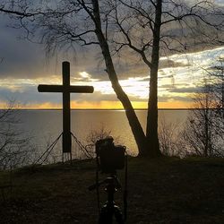 Bare trees against sky at sunset
