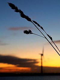 Low angle view of silhouette bird flying against sky during sunset