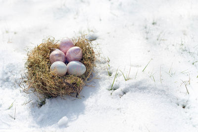 A meadow is covered with snow. a natural nest of hay contains white and pink shimmering glass 