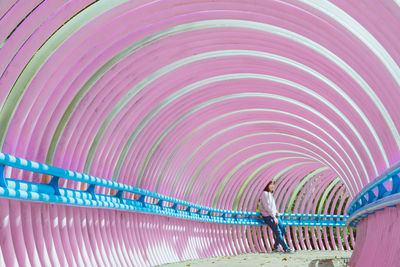 Close-up of multi colored ceiling