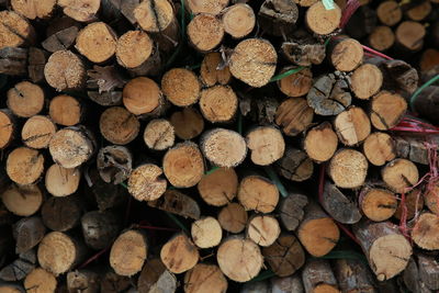 Full frame shot of logs in forest