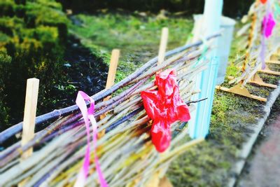Close-up of clothespins on water