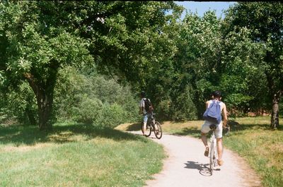 Man riding bicycle on road