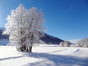 Scenic view of snow covered landscape