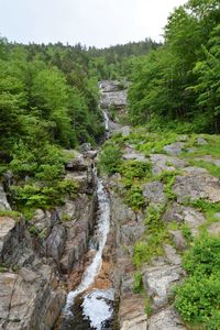 Scenic view of waterfall in forest against sky