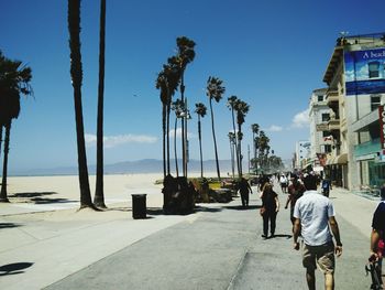 People walking on palm trees in city against sky