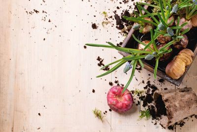 High angle view of onions in crate on table