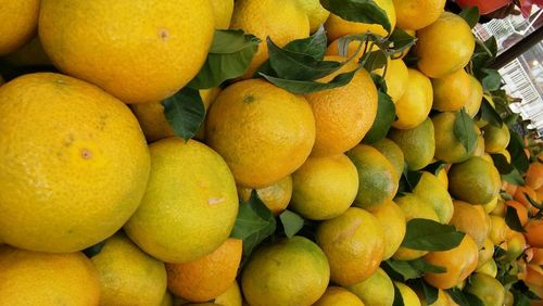 Full frame shot of lemons