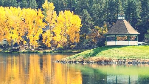 Scenic view of lake in forest during autumn