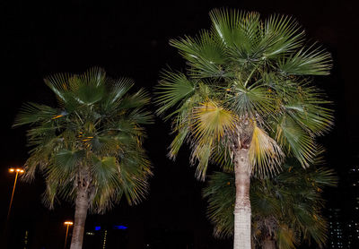 Low angle view of sky at night