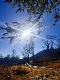 Bare trees on landscape against sky