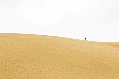 Scenic view of desert against clear sky