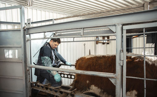 Innovations on the farm, ultrasound technology, veterinarians use ultrasound technology