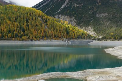 Scenic view of lake in forest against sky