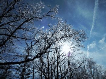 Low angle view of bare tree against sky