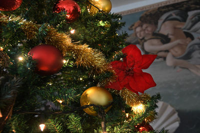 Close-up of illuminated christmas tree