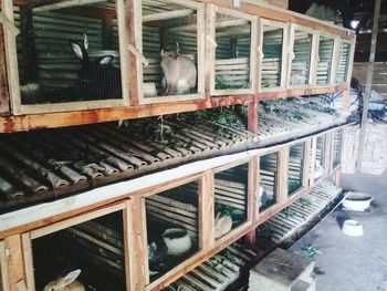 High angle view of birds in cage