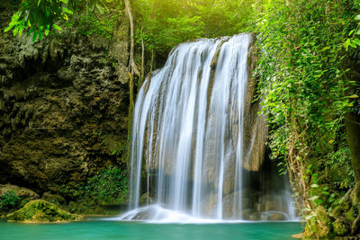 Scenic view of waterfall in forest