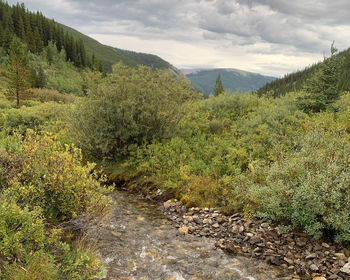 Scenic view of landscape against sky