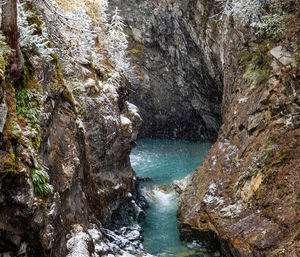 Scenic view of waterfall in forest