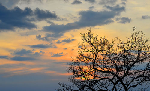 Low angle view of silhouette tree against sky during sunset