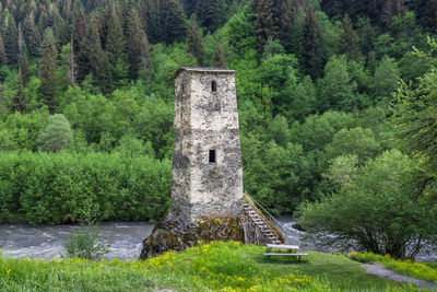 Old ruin amidst trees in forest