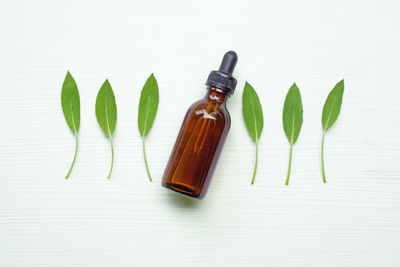 Close-up of bottle and leaves on table