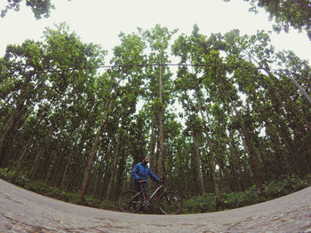 Man riding bicycle on street by trees