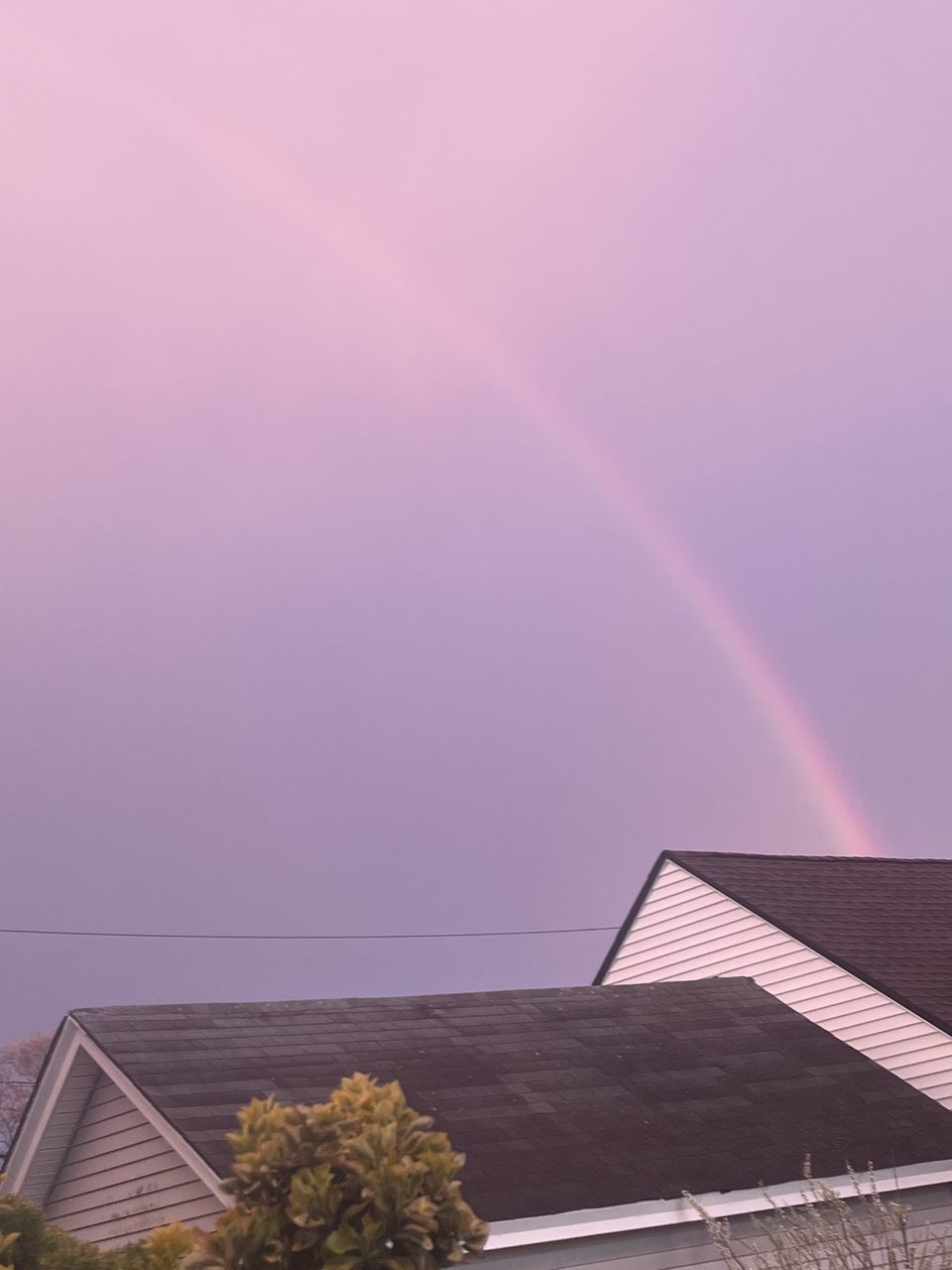 architecture, rainbow, built structure, building exterior, nature, building, sky, low angle view, no people, plant, day, tree, outdoors, city, copy space, pink, skyscraper