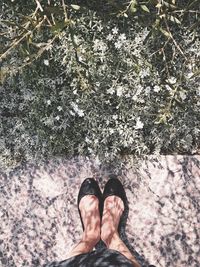 Low section of woman standing on land by plants