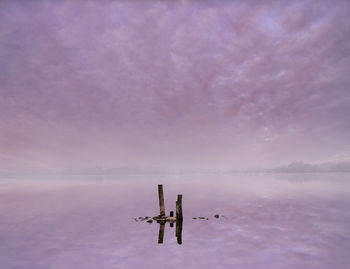 Scenic view of wooden posts in lake against sky during winter