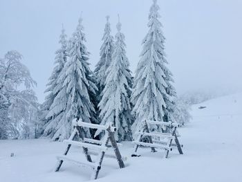 Snow covered land and trees on field during winter