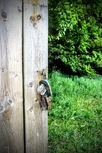 Close-up of horse on wooden post