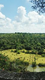 Scenic view of farm against sky