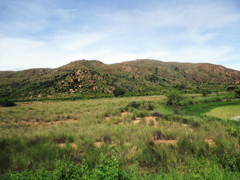 landscape