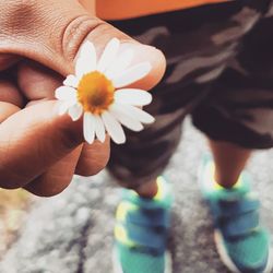 Close-up of hand holding flowering plant