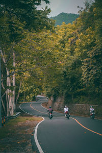 People riding bicycle on road amidst trees