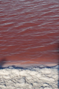 Mexico, yucatan, las coloradas, shore of red saline lake