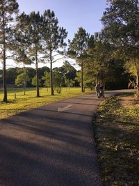 People on road by trees against sky