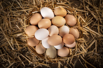 High angle view of eggs in nest