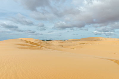 Sand dune in desert against sky